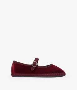 Bosanova Ballerines Et Mary Janes | Ballerines en velours marron