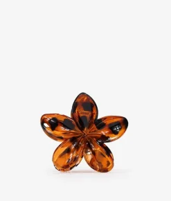 Femme Bosanova Accessoires Pour Cheveux | Barrette à cheveux fleur d'hibiscus marron